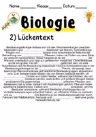 Vorschau - Unterrichtsreihen - Bestäubungsökologie Informationen und Arbeitsblätter - Seite 2
