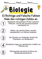 Vorschau - Unterrichtsreihen - Bestäubungsökologie Informationen und Arbeitsblätter - Seite 3