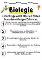Vorschau - Unterrichtsreihen - Bodenökologie Informationen und Arbeitsblätter - Seite 3