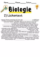 Vorschau - Unterrichtsreihen - Urbanes Gärtnern Informationen und Arbeitsblätter - Seite 2