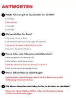 Vorschau - Arbeitsblätter - Der Falke: Leseverständnis und Kreuzworträtsel mit Lösungen - Seite 3