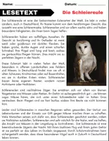 Vorschau - Arbeitsblätter - Die Schleiereule: Leseverständnis und Kreuzworträtsel mit Lösungen - Seite 1