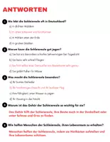Vorschau - Arbeitsblätter - Die Schleiereule: Leseverständnis und Kreuzworträtsel mit Lösungen - Seite 3