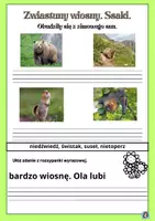 zapowiedź - Wiosna - strona 3