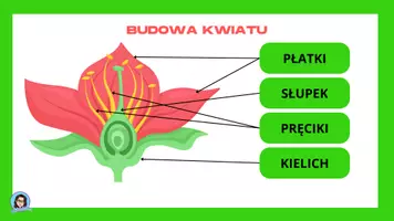 zapowiedź - Wklejki przyrodnicze - strona 2