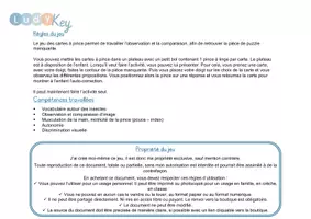 Aperçu - Apprentissages en autonomie - Les cartes à pince puzzle sur les insectes - Page 2