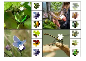 Aperçu - Apprentissages en autonomie - Les cartes à pince puzzle sur les insectes - Page 3