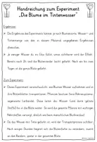 Vorschau - Fördermaterial/Inklusion - Tintenblume Experiment - TAFELKARTEN Blume färben - Seite 3