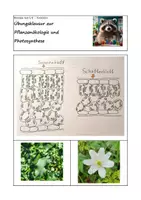 Vorschau - Klassenarbeiten - Übungsklausur zur Pflanzenökologie und Fotosynthese - Deckblatt