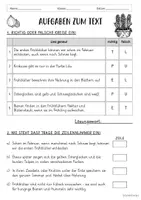 Vorschau - Arbeitsblätter - Lesetext - Frühblüher (Klasse 1/2) - Seite 2