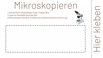 Vorschau - Stundenentwürfe - Eine Lernrolle zum Thema Blut - Seite 3