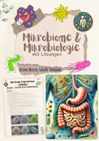 Vorschau - Unterrichtsreihen - XL Materialpaket: Mikrobiome & Mikrobiologie - Kleine Helfer, große Wirkung (7. & 8. Klasse Biologie, Nawi, Chemie, Gesundheitswissenschaften) - 7 fertige Unterrichtsstunden mit Lösungen - Seite 1
