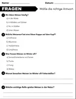 Vorschau - Arbeitsblätter - Die Meise: Leseverständnis und Kreuzworträtsel mit Lösungen - Seite 2
