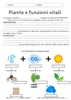 anteprima - Compiti in classe/Test - Verifica sulle piante - Pagina di copertina