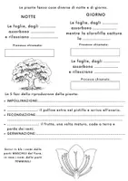 anteprima - Compiti in classe/Test - Verifica sulle piante - Pagina 1