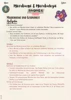 Vorschau - Unterrichtsreihen - Mikrobiome & Mikrobiologie - Kleine Helfer, große Wirkung: Mikrobiome und Gesundheit (7. & 8. Klasse Biologie, Nawi, Chemie, Gesundheitswissenschaften) - Seite 3
