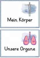 Vorschau - Poster - Reihentransparenz - Erste-Hilfe - Seite 3