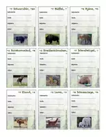 Vorschau - Spiele - DFU - Spiel - Säugetier-Safari (Säugetiere beschreiben) - Seite 1