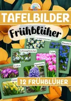 Vorschau - Präsentationen/Tafelbilder - Tafelbilder - Frühblüher - Deckblatt