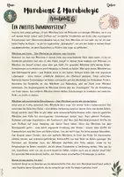 Vorschau - Unterrichtsreihen - Mikrobiome & Mikrobiologie - Kleine Helfer, große Wirkung: Mikrobiome und Krankheit (7. & 8. Klasse Biologie, Nawi, Chemie, Gesundheitswissenschaften) - Seite 1
