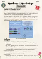 Vorschau - Unterrichtsreihen - Mikrobiome & Mikrobiologie - Kleine Helfer, große Wirkung: Mikrobiome und Krankheit (7. & 8. Klasse Biologie, Nawi, Chemie, Gesundheitswissenschaften) - Seite 2