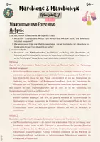 Vorschau - Unterrichtsreihen - Mikrobiome & Mikrobiologie - Kleine Helfer, große Wirkung: Mikrobiome und Forschung (7. & 8. Klasse Biologie, Nawi, Chemie, Gesundheitswissenschaften) - Seite 3