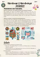 Vorschau - Unterrichtsreihen - Mikrobiome & Mikrobiologie - Kleine Helfer, große Wirkung: Mikrobiome und Forschung (7. & 8. Klasse Biologie, Nawi, Chemie, Gesundheitswissenschaften) - Seite 2