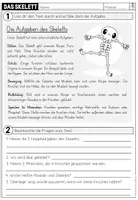 Vorschau - Arbeitsblätter - DAS SKELETT - Lesetexte + Aufgaben - Seite 3