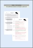 Vorschau - Test - Krabat - Kurztest erstes Jahr - Deckblatt