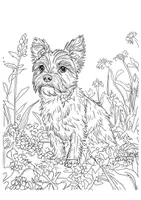 Vorschau - Arbeitsblätter - Kunst Hunde Tiere Ausmalbilder Fensterbilder Mandala Bild ausmalen - Seite 2