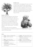 Vorschau - Stationenlernen - Chadidscha-Maryam-Malala / Vorbildliche Frauen im Islam - Seite 2