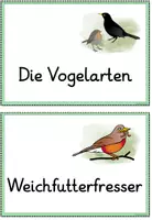 Vorschau - Poster - Reihentransparenz - Vögel im Winter - Seite 3
