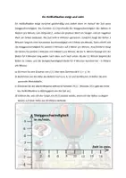 Vorschau - Arbeitsblätter - Rekonstruktion von Bestandsgrößen - Seite 2