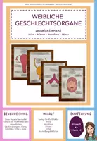 Vorschau - Präsentationen/Tafelbilder - Weibliche Geschlechtsorgane - Klettvorlage - Deckblatt