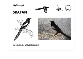 förhandsvisning - Pdf-fil (6-fältare) till NYFIKEN PÅ SKATAN" (9 sidor fakta) - sida 1