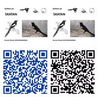 förhandsvisning - GRATIS: QR-koder till "NYFIKEN PÅ SKATAN" - försättsblad
