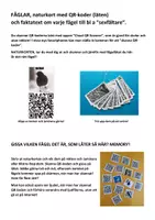 förhandsvisning - FÅGLAR med fågelläten, minikort med QR-koder + faktakort - sida 2