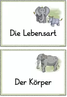 Vorschau - Poster - Reihentransparenz - Elefant - Seite 3