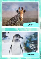 Vorschau - Stundenentwürfe - Materialpaket: Viele Grüße Grüße, Deine Giraffe - Seite 1