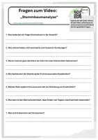 Vorschau - Arbeitsblätter - Stammbaumanalyse - Deckblatt