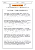 Vorschau - Arbeitsblätter - Leseverständnis 4. Klasse "Die Bienen- Kleine Helden der Natur" - Deckblatt