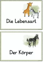 Vorschau - Poster - Reihentransparenz - Zebra - Seite 3