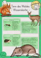 Vorschau - Stationenlernen - Wissenskartei Waldtiere Tiere Wald - Deckblatt