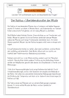 Vorschau - Arbeitsblätter - Leseverständnis 4. Klasse "Der Kaktus - Überlebenskünstler der Natur" - Deckblatt