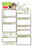 Vorschau - Arbeitsblätter - Biber - Arbeitsblatt mit Steckbrief - Seite 1