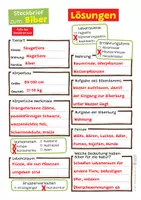 Vorschau - Arbeitsblätter - Biber - Arbeitsblatt mit Steckbrief - Seite 3