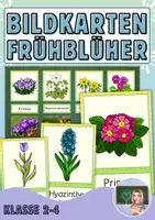 Vorschau - Präsentationen/Tafelbilder - Frühblüher Tafelmaterial - Deckblatt