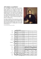Vorschau - Unterrichtsreihen - Unterricht und Material Schubert Unvollendete - Seite 3