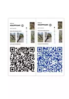 förhandsvisning - KNOPPAR i träden och på marken med QR-koder - sida 1