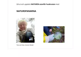 förhandsvisning - Knoppisar på marken! GISSA vems knoppar det är? - sida 2